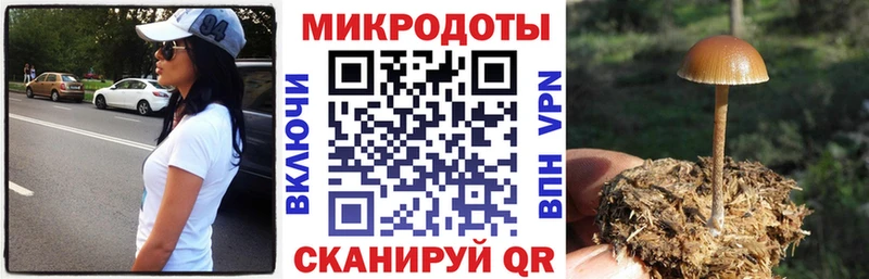 ссылка на мегу зеркало  Аткарск  Псилоцибиновые грибы Magic Shrooms 
